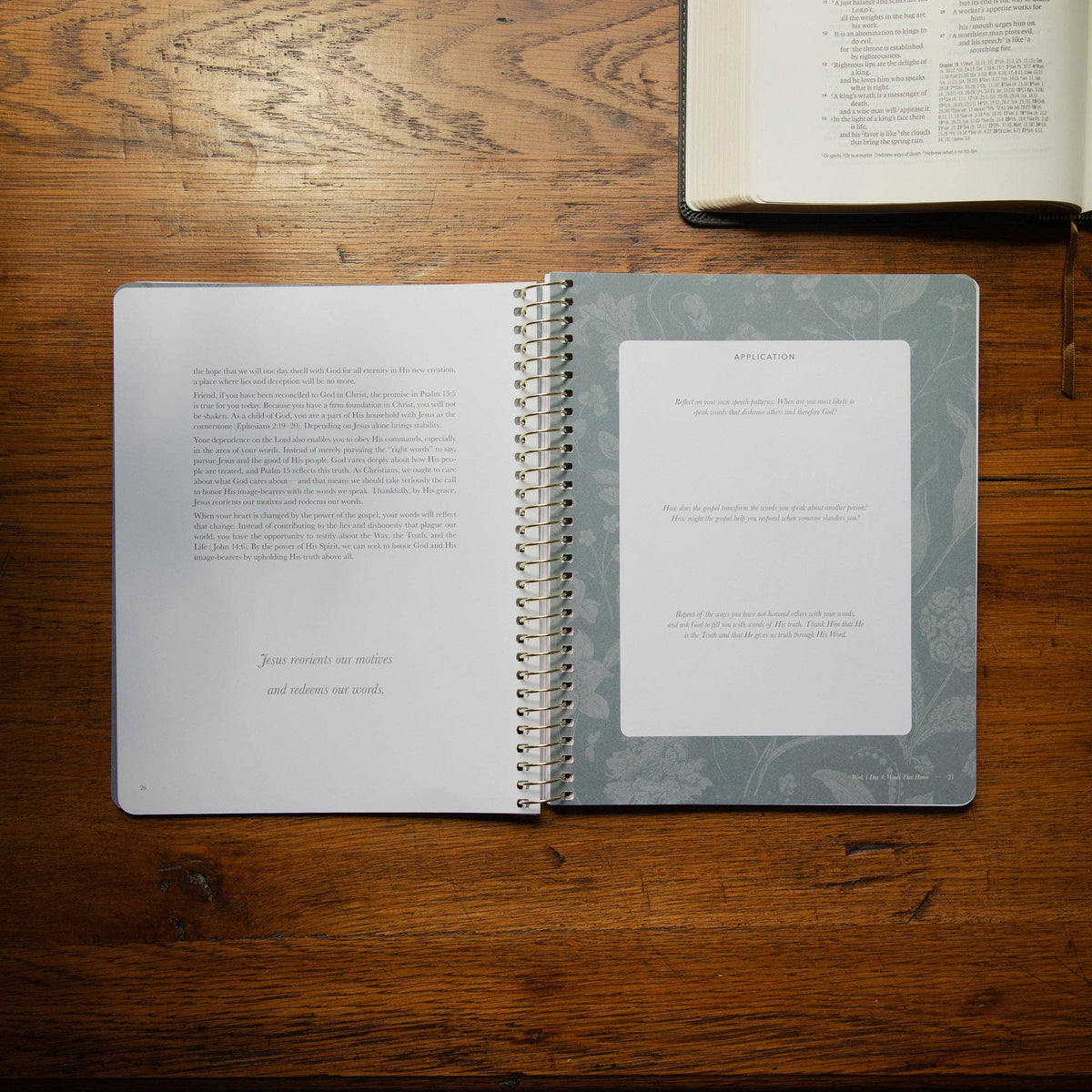 Sticks and Stones Bible Study | Healing from Hurtful Words | The Daily Grace Co.