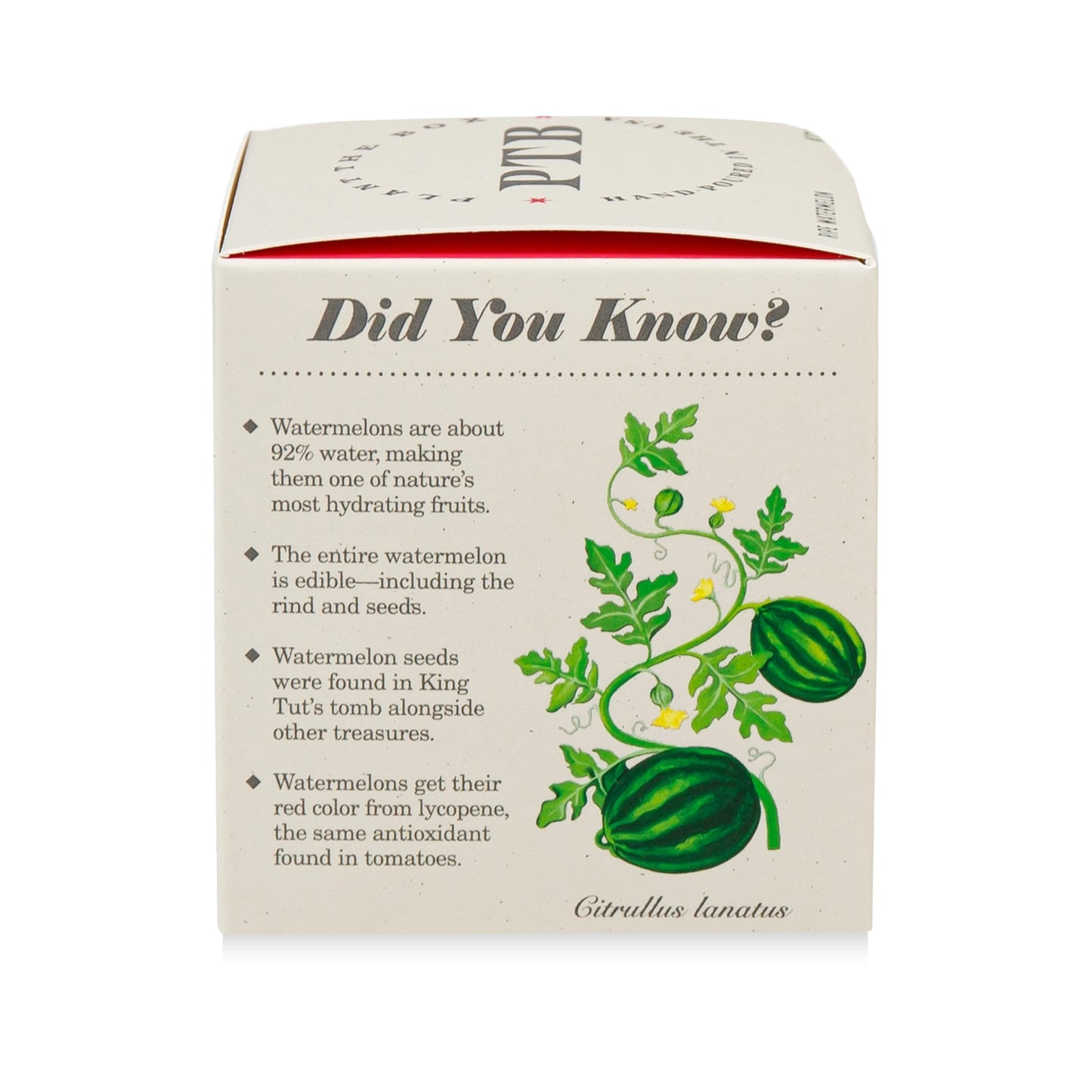 Plant & Grow Seed Candle – Ripe Watermelon