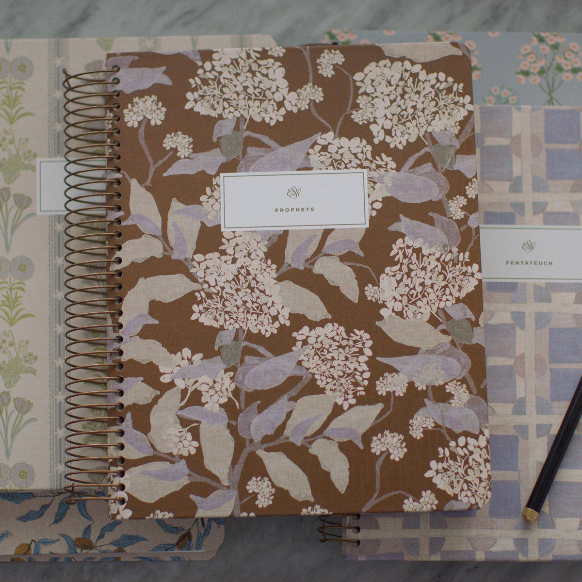 ESV journaling Bible interior with Scripture text and generous note-taking space