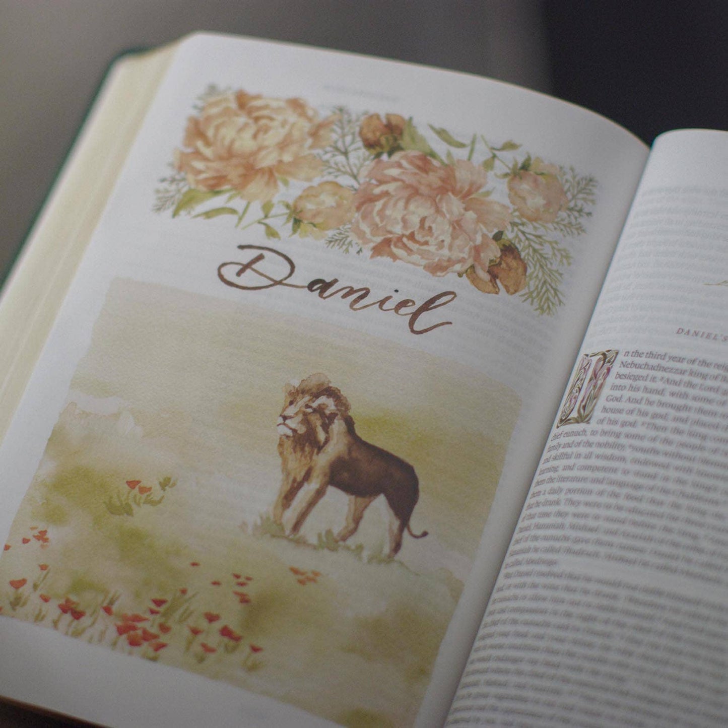 ESV Gracelaced Bible