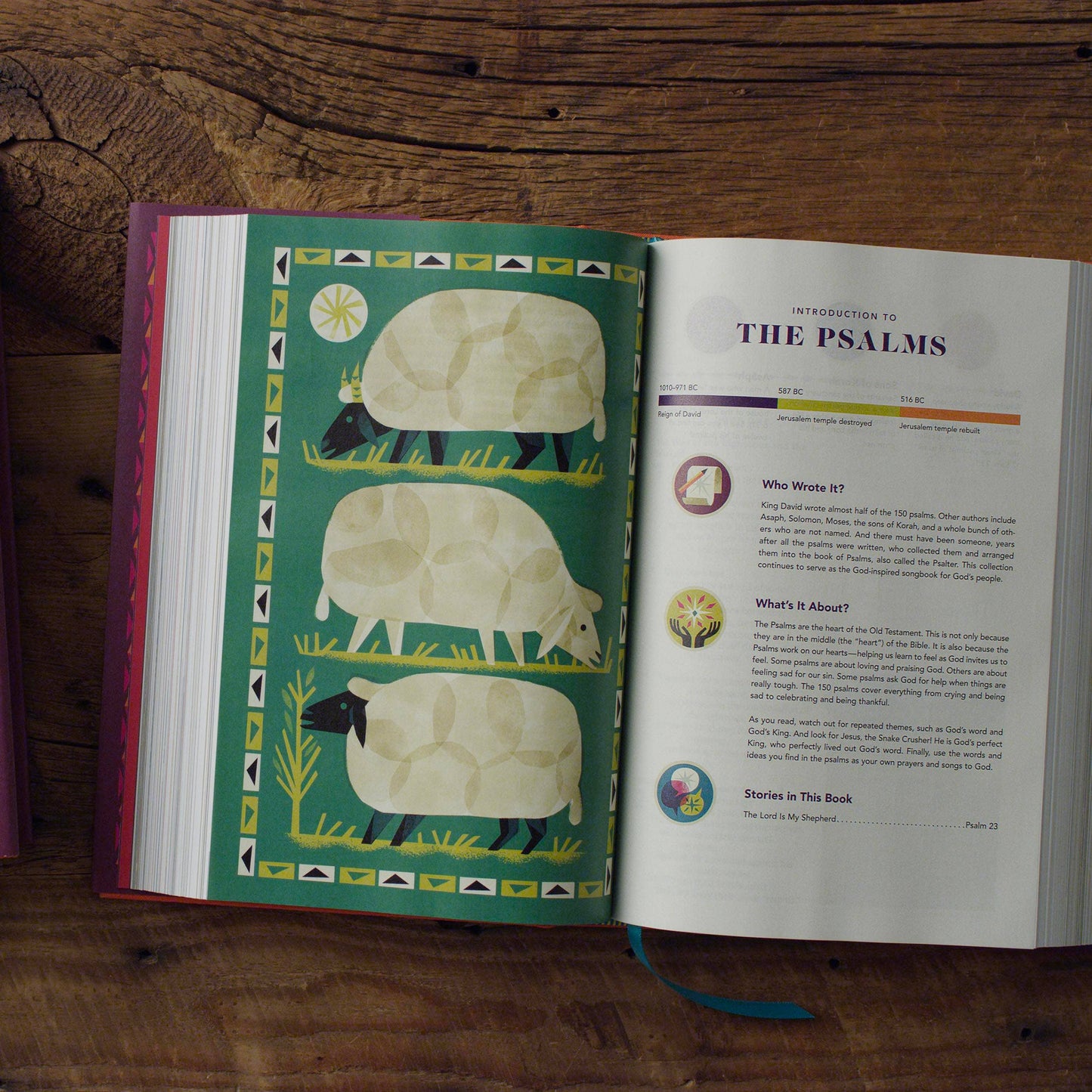 ESV The Biggest Story Holy Bible for Kids