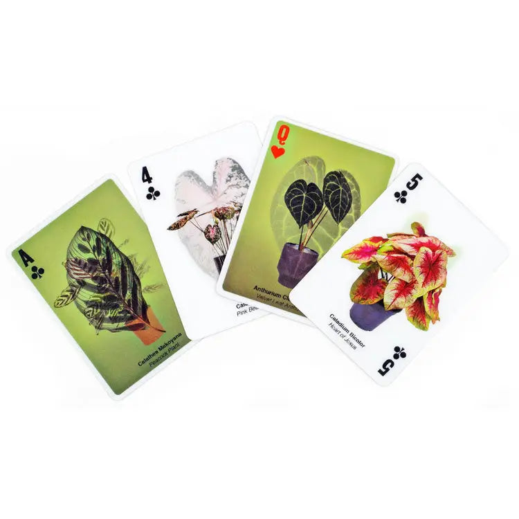 3D Plant Cards
