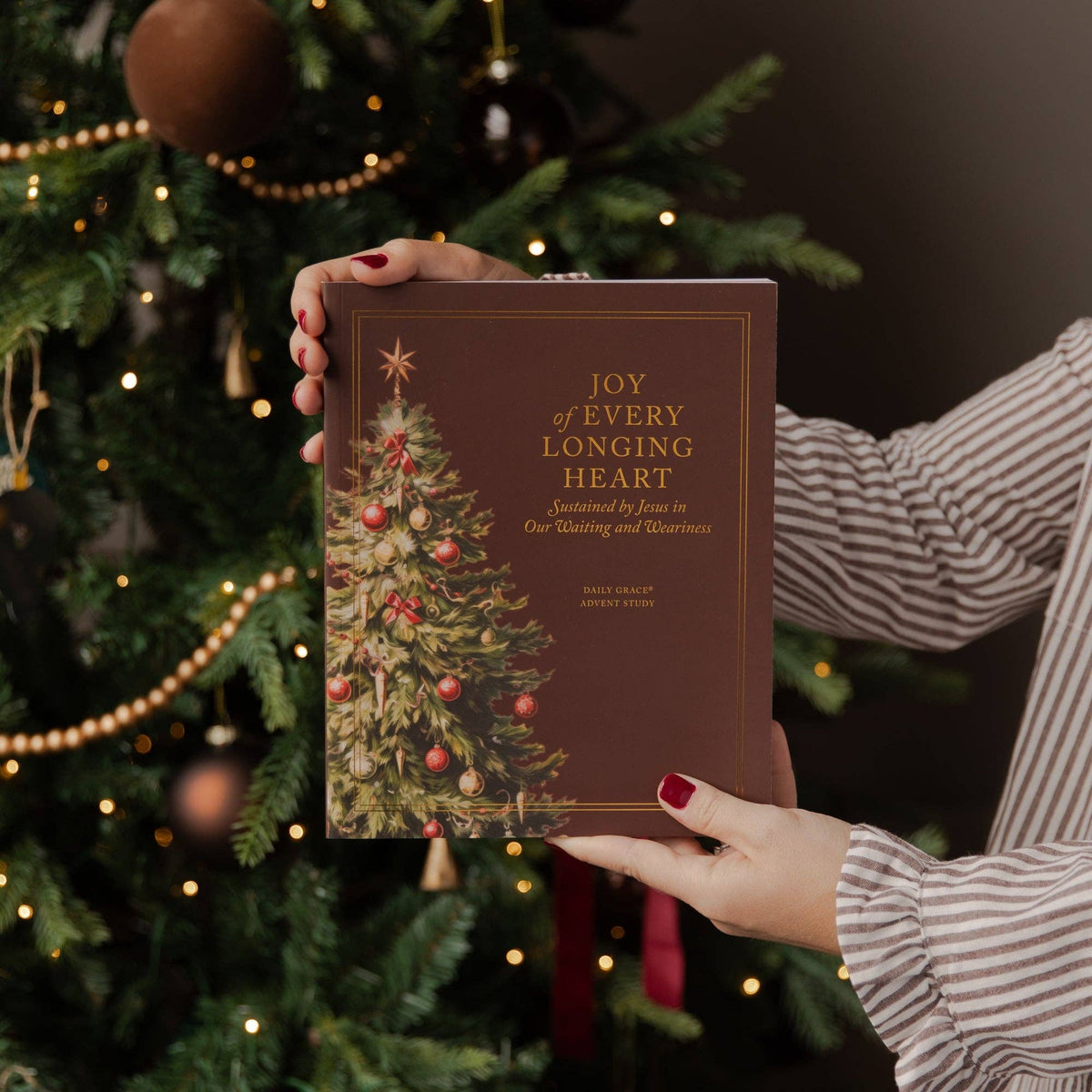 Joy of Every Longing Heart | 2026 Advent Bible Study | The Daily Grace Co.