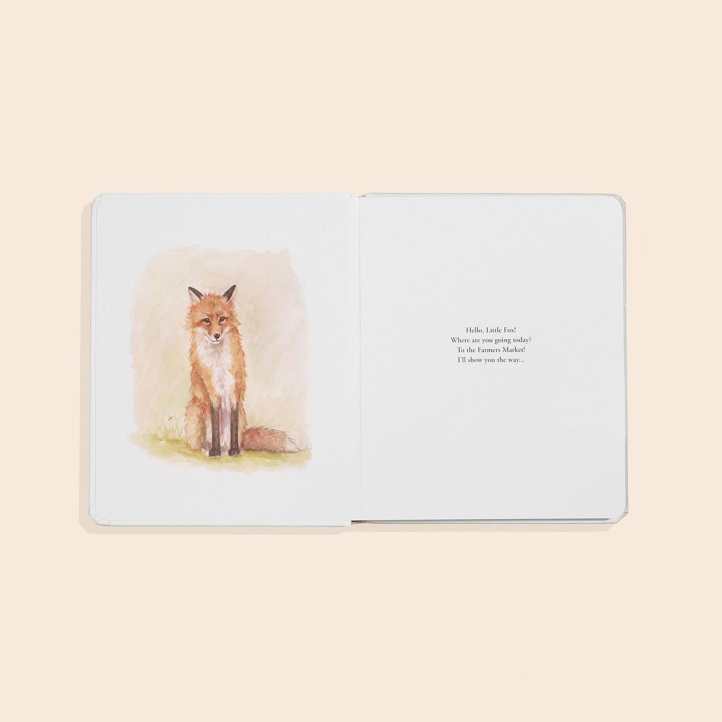 Our Little Adventure to the Farmers Market | Board Book