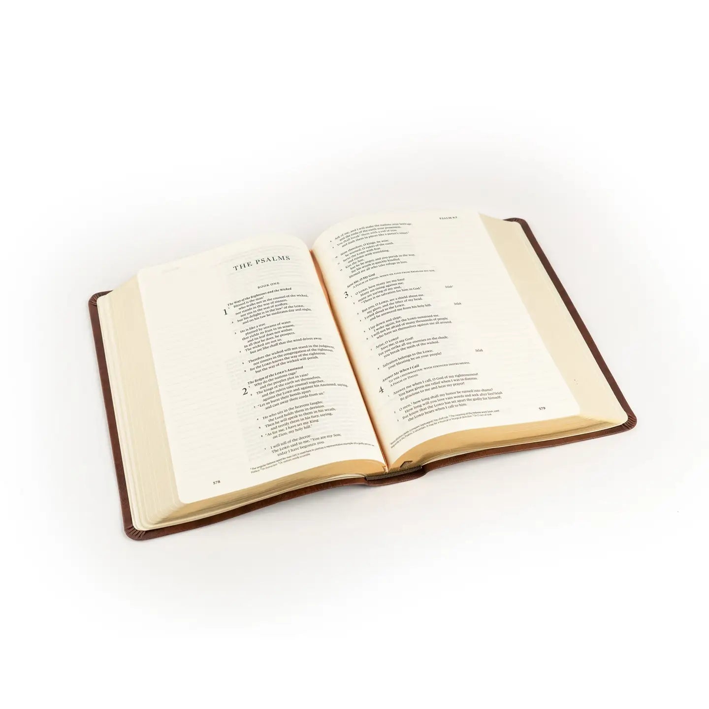 ESV JOURNALING BIBLE: PALMA THEME