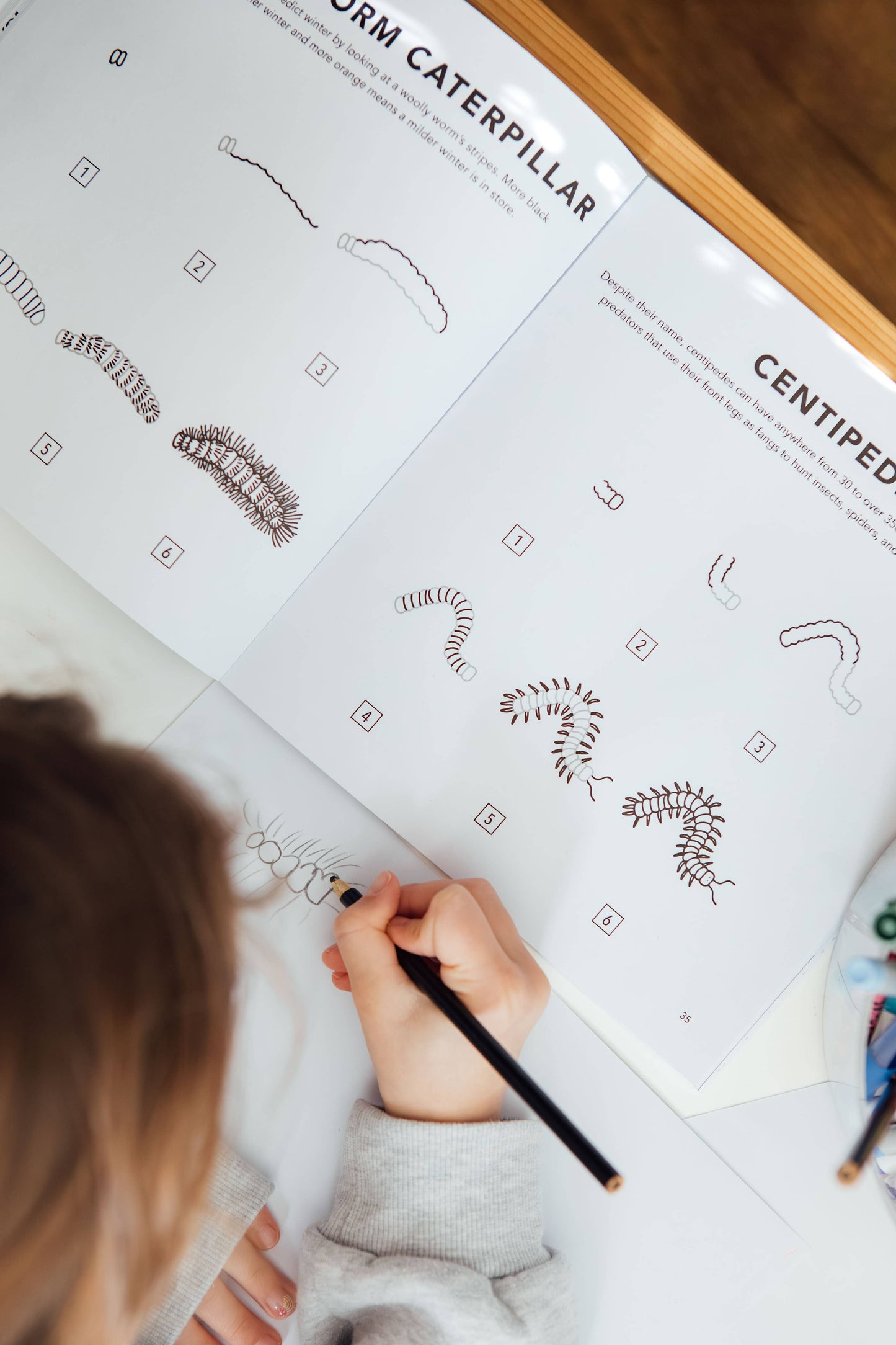How to Draw Bugs for Kids | Easy Step-by-Step Drawing Book