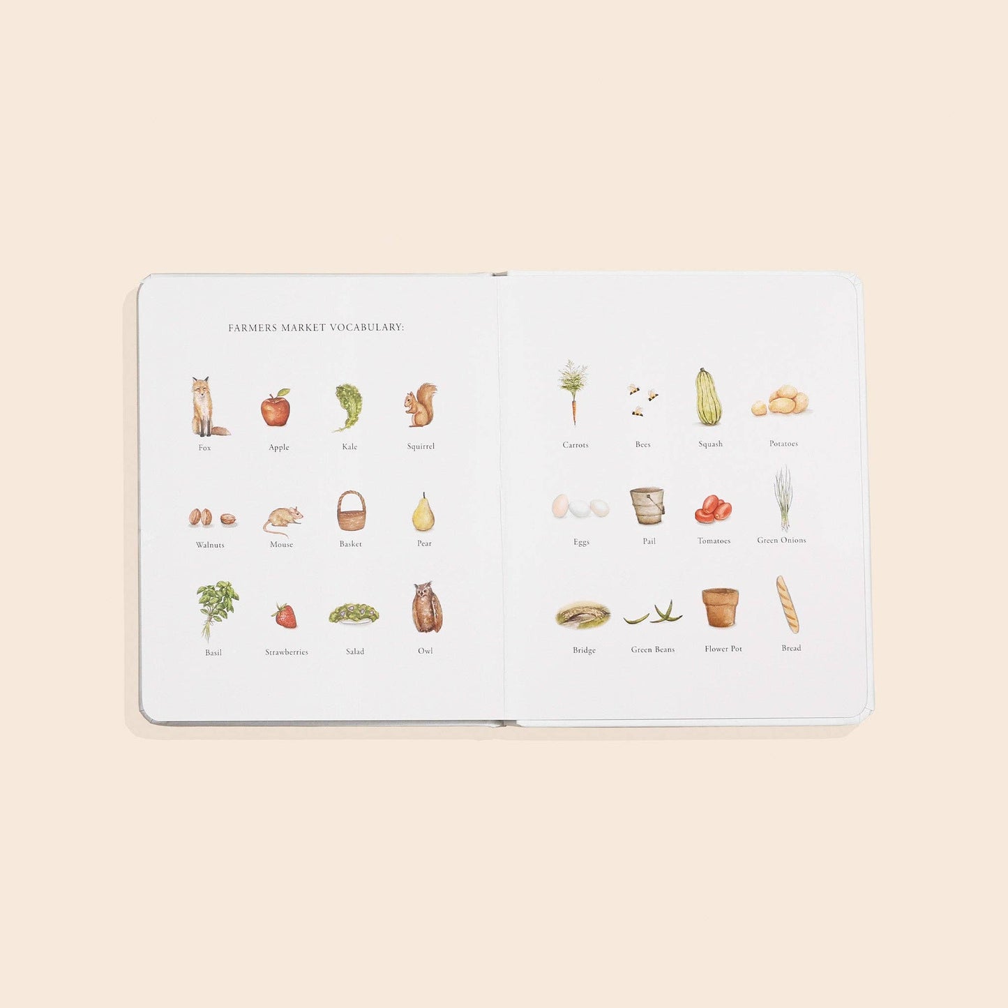 Our Little Adventure to the Farmers Market | Board Book