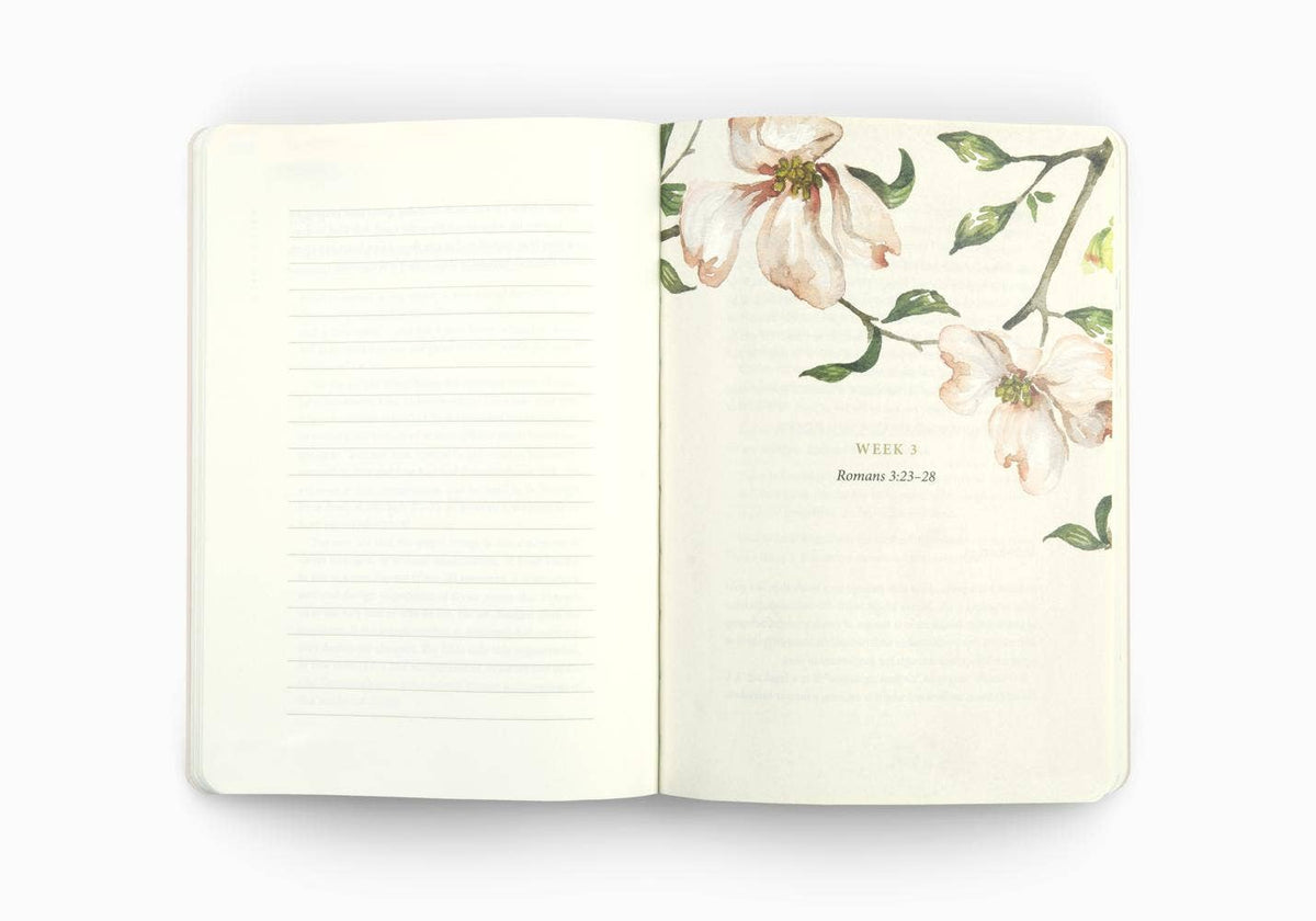 ESV Prayer Journal: 30 Days on the Gospel