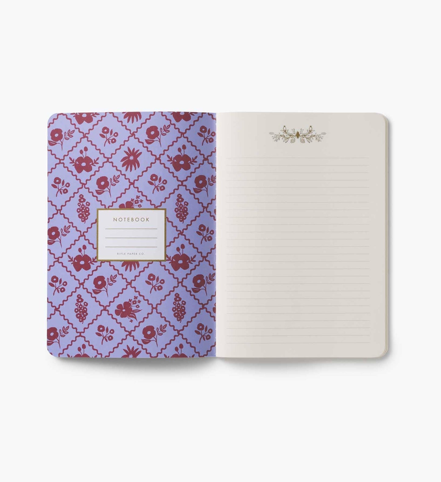 Jane Austen Notebooks