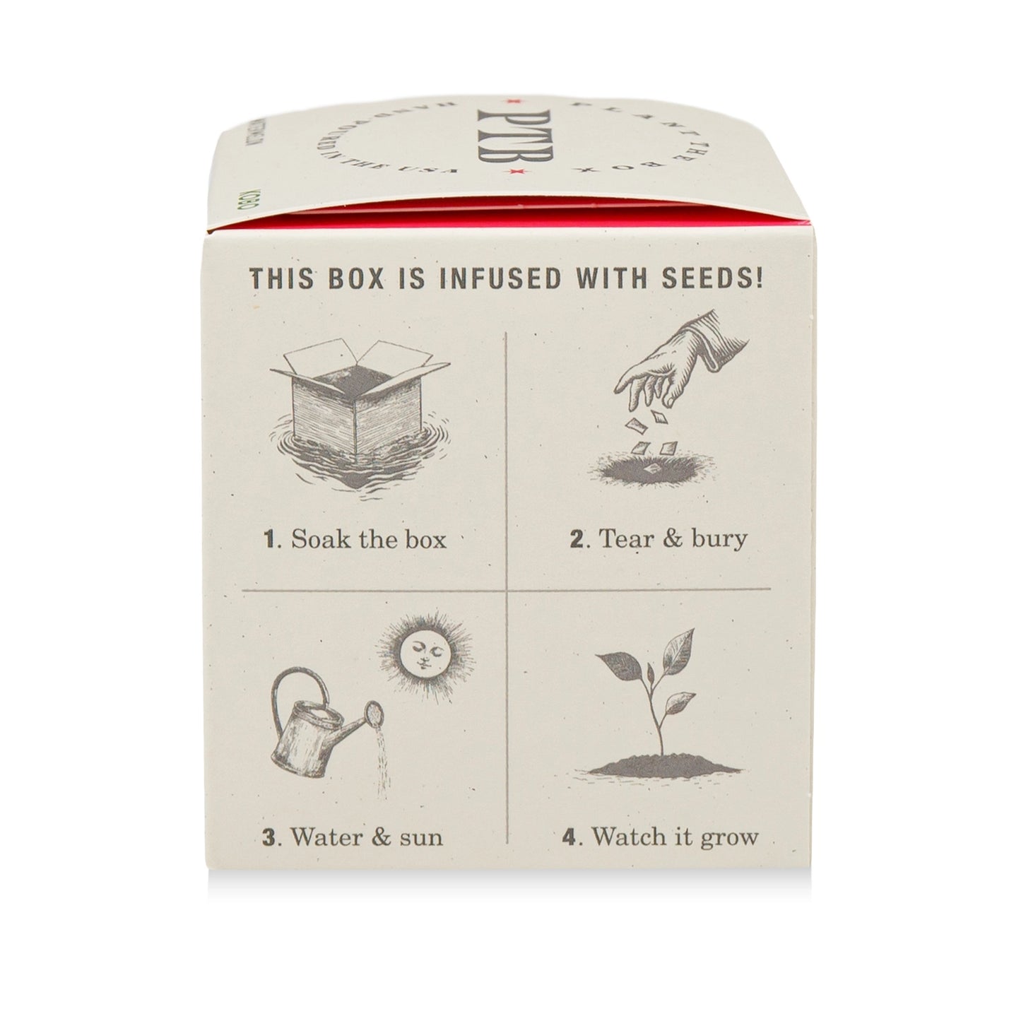Plant & Grow Seed Candle – Ripe Watermelon