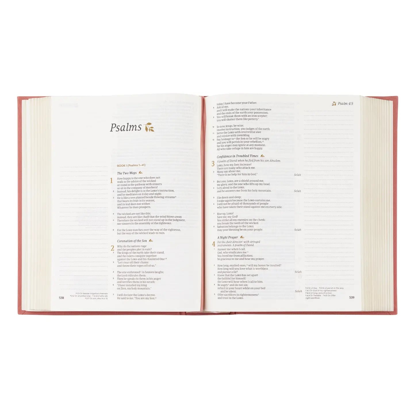Rosedal CSB Notetaking Bible
