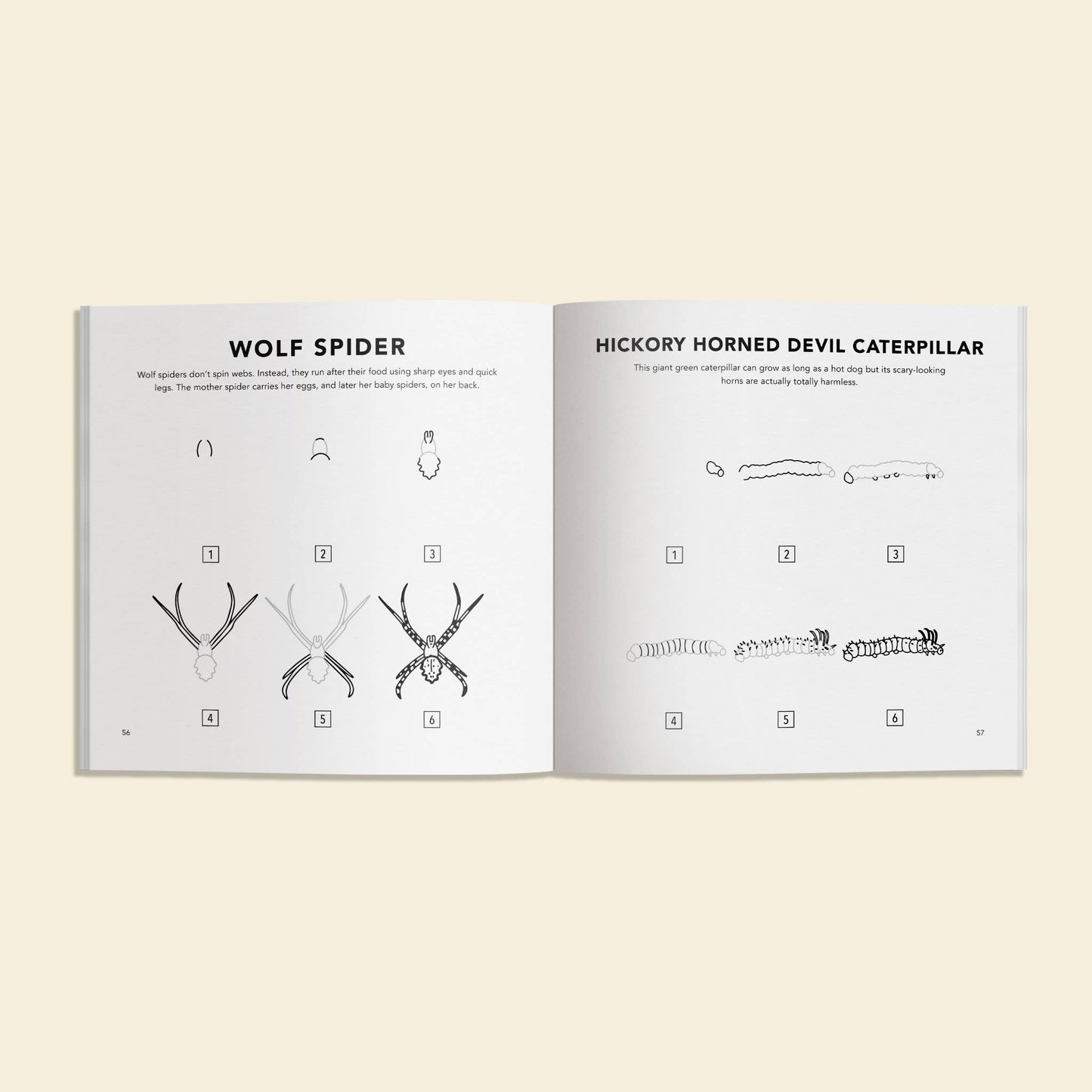 How to Draw Bugs for Kids | Easy Step-by-Step Drawing Book