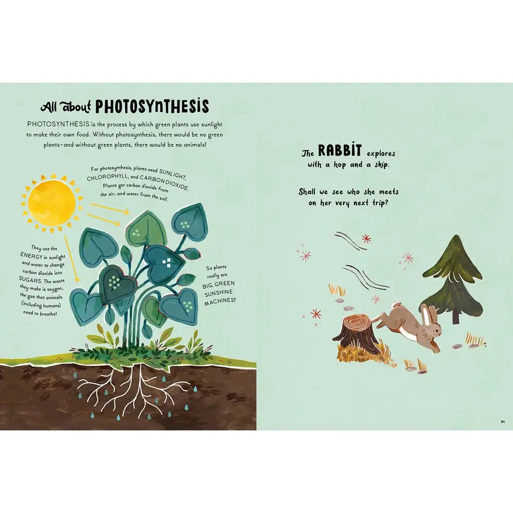 5-Minute Nature Stories