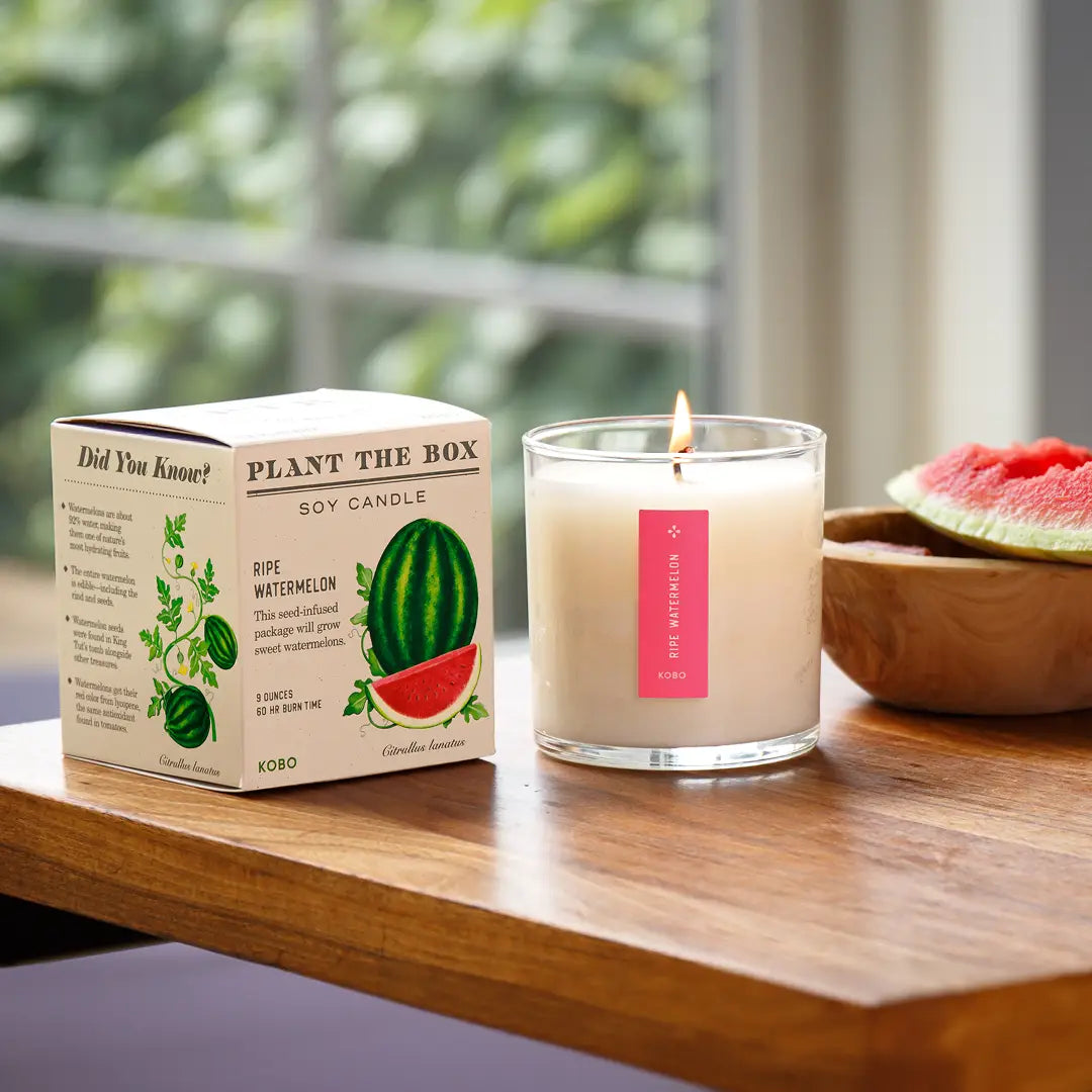 Plant & Grow Seed Candle – Ripe Watermelon