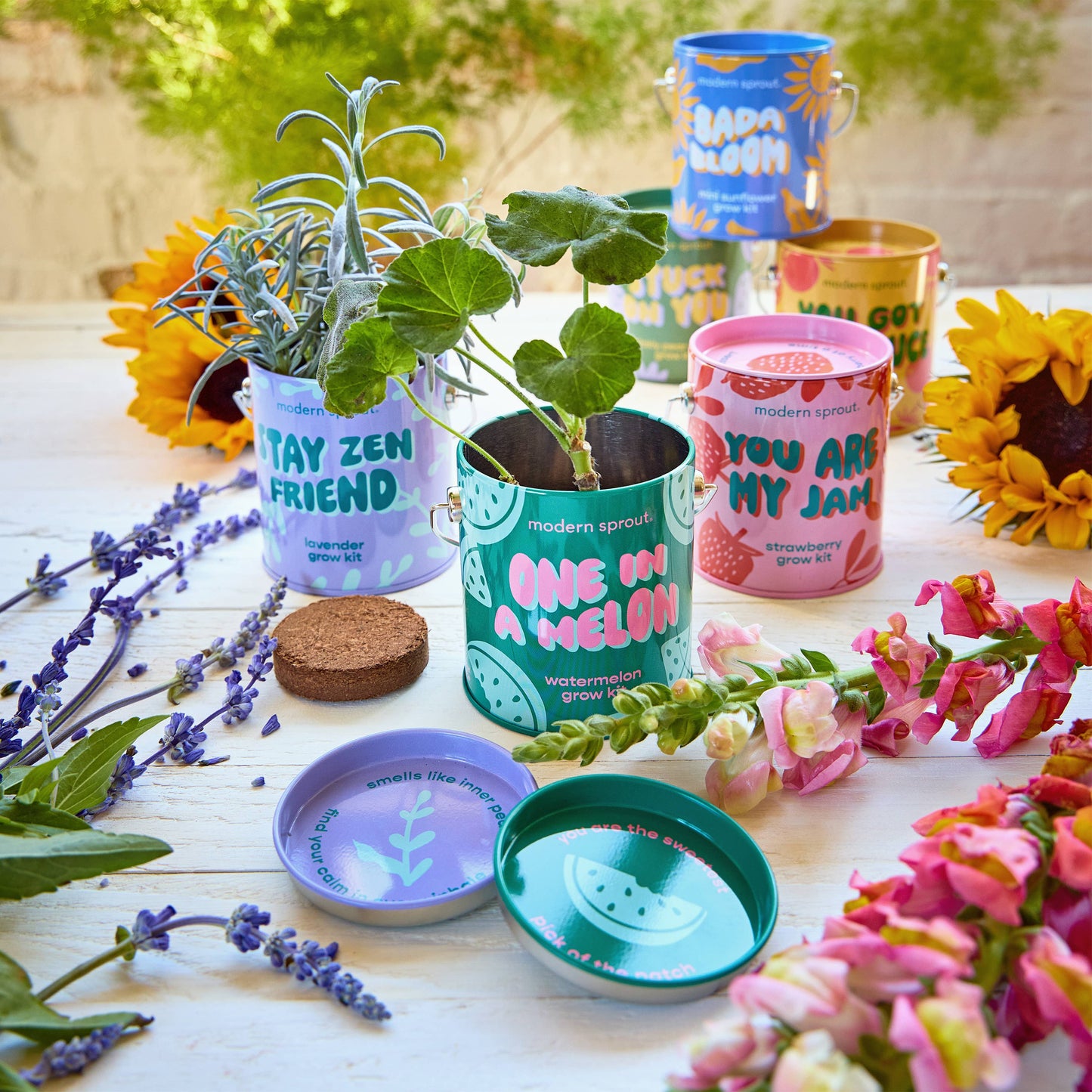Rooted in Joy Grow Kits