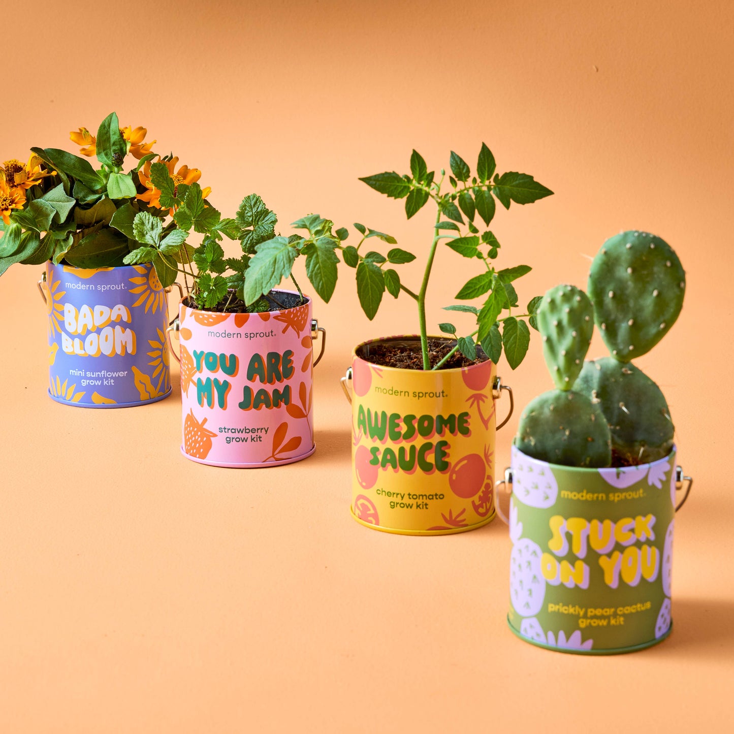 Rooted in Joy Grow Kits