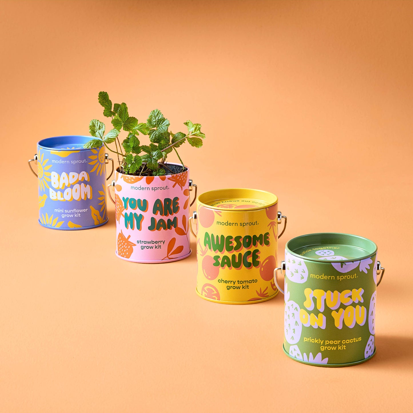 Rooted in Joy Grow Kits