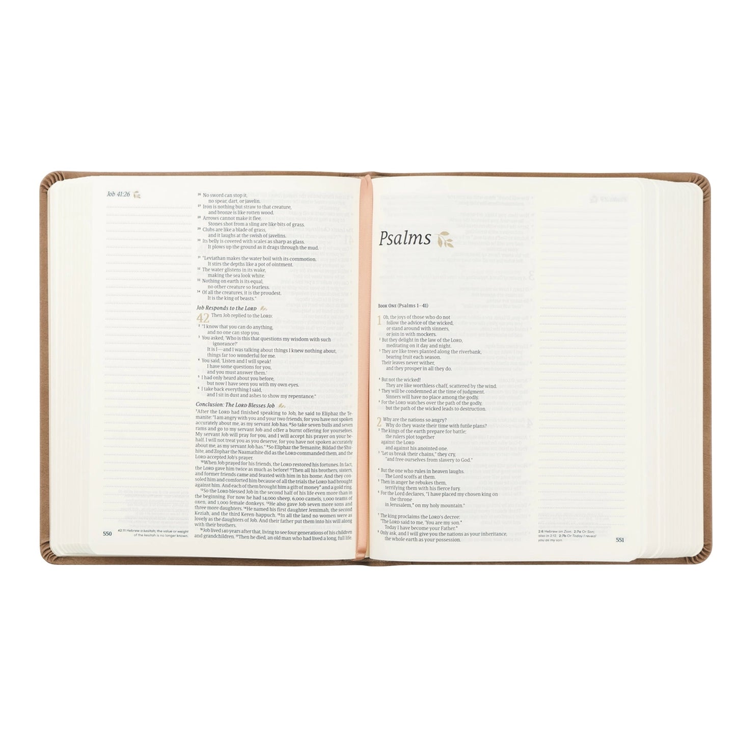 Galilee NLT Notetaking Bible