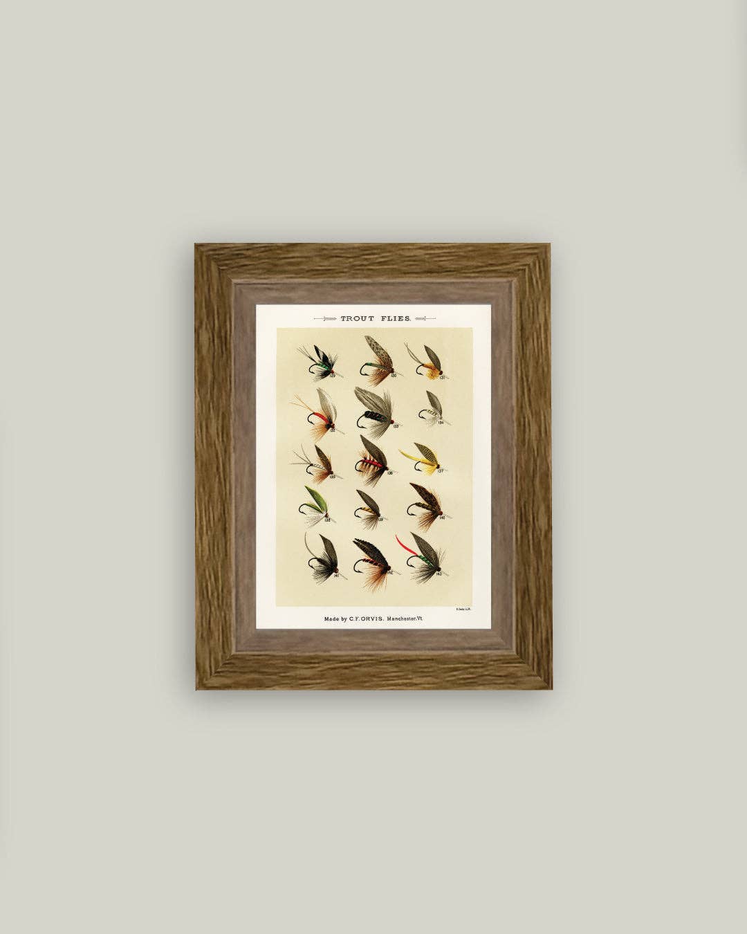 Trout Flies Framed Antique Art: 5x7
