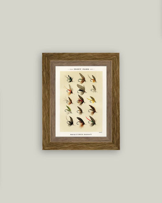 Trout Flies Framed Antique Art: 5x7