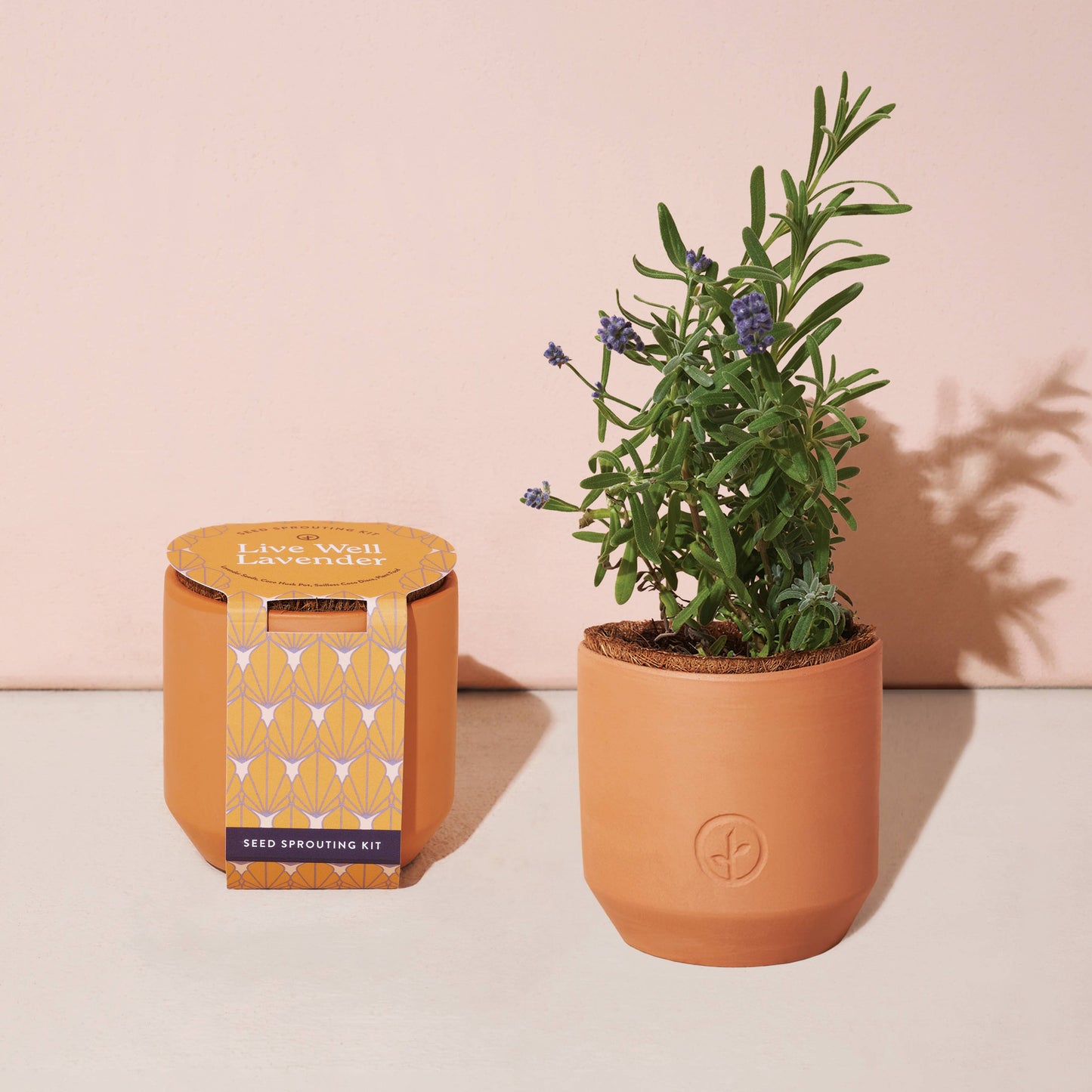 Tiny Terracotta Grow Kits: Live Well Lavender