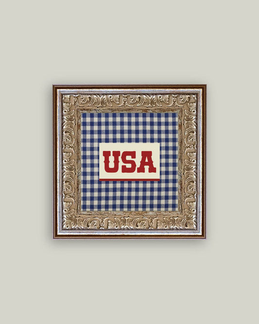 Plaid USA Framed Antique Art: 6x6