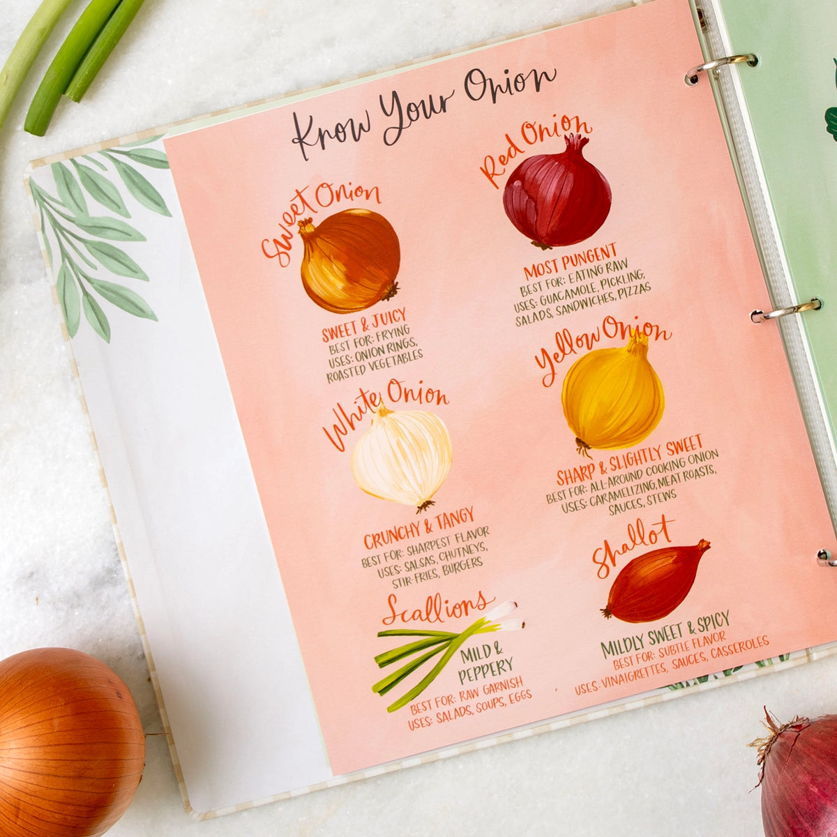 Illustrated onion varieties guide inside beige gingham recipe binder