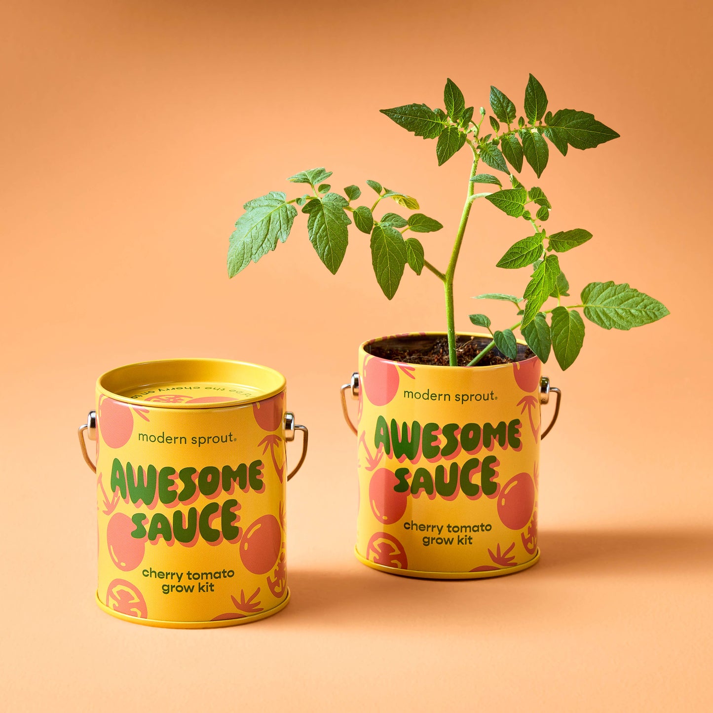 Rooted in Joy Grow Kits