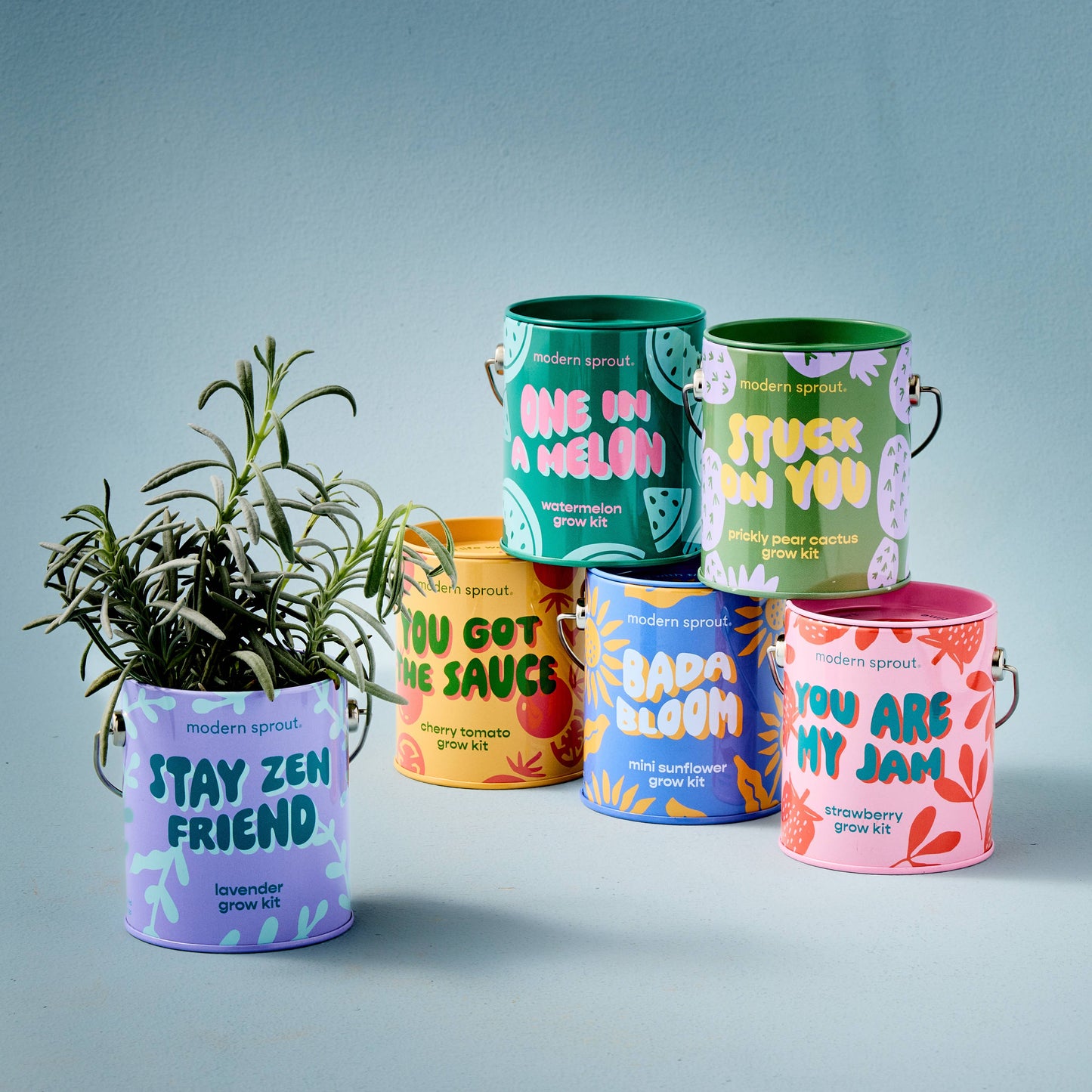 Rooted in Joy Grow Kits