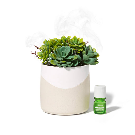 Lifelines ClickWick® Plant Diffuser | Faux Succulent Essential Oil Diffuser