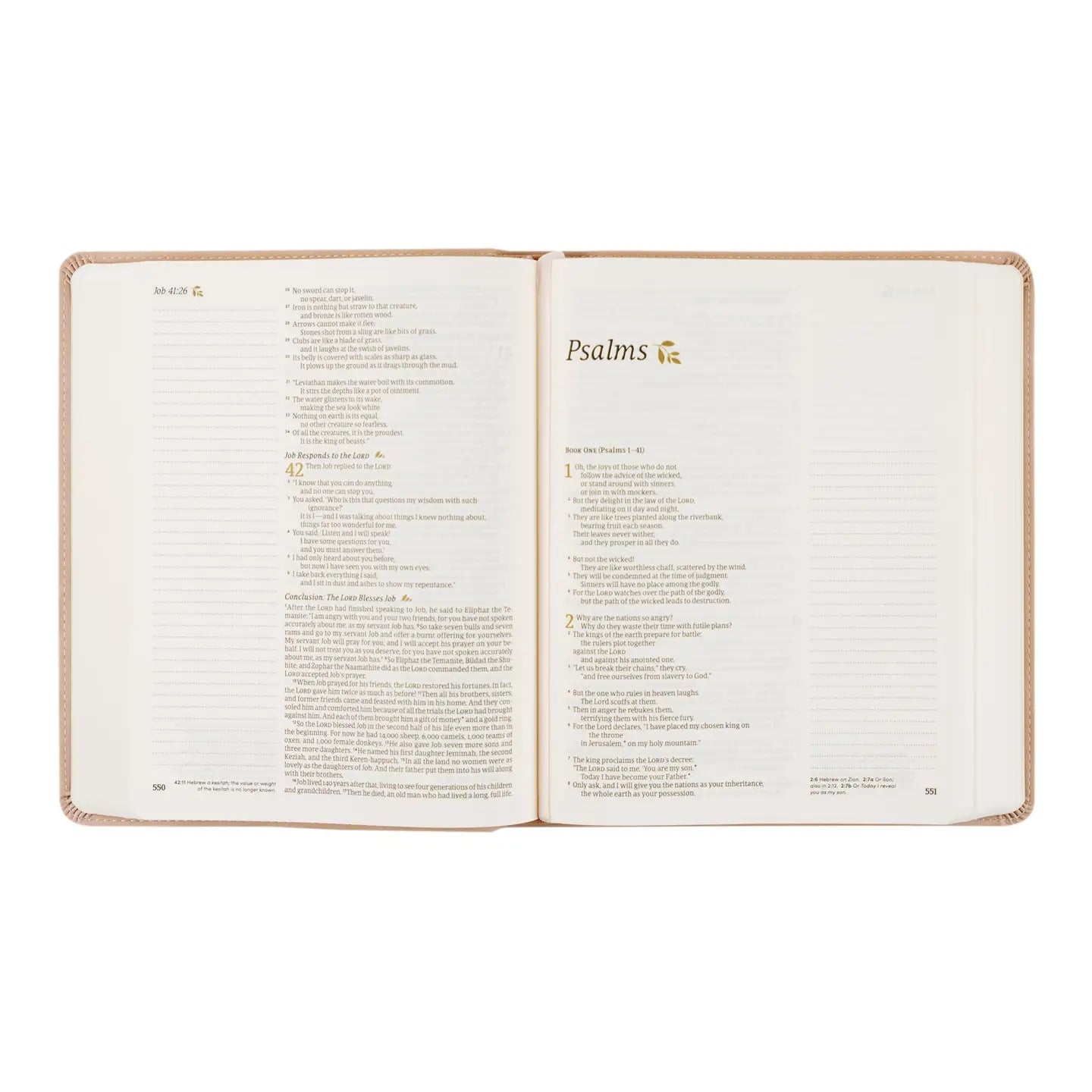 Shiloh NLT Notetaking Bible