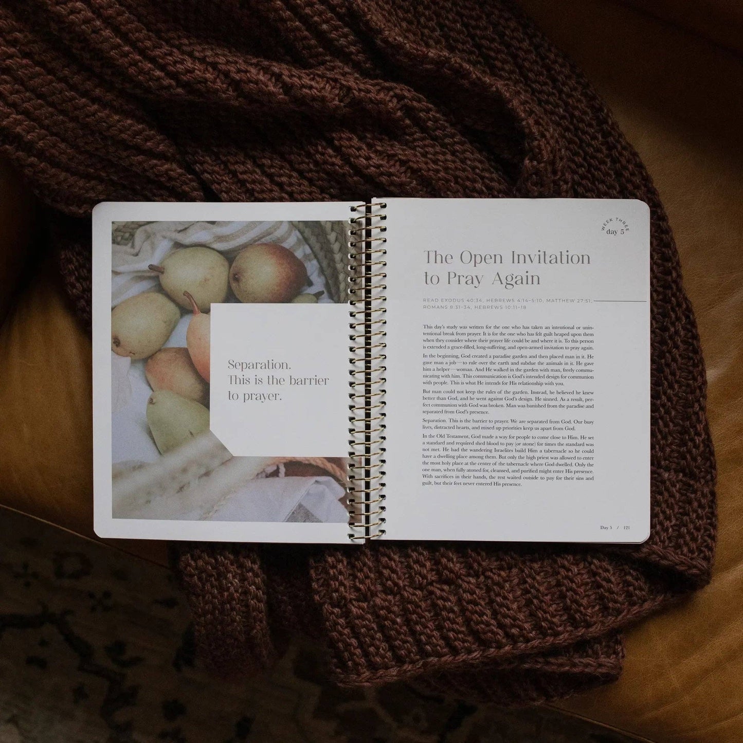 Pray Bible Study | Cultivating a Passionate Practice of Prayer