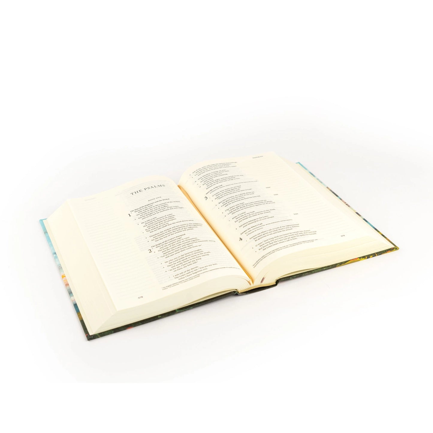 Esv Journaling Bible: Santa Lucia