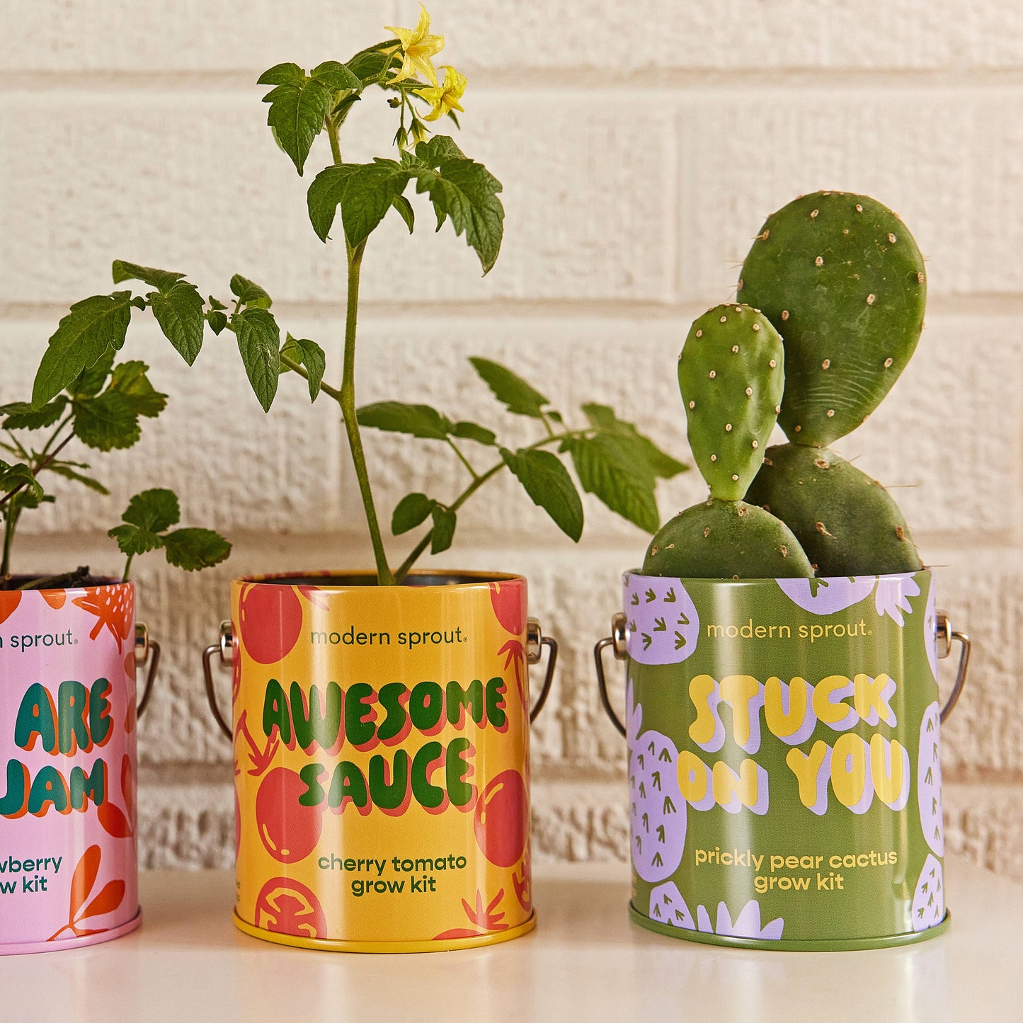 Rooted in Joy Grow Kits