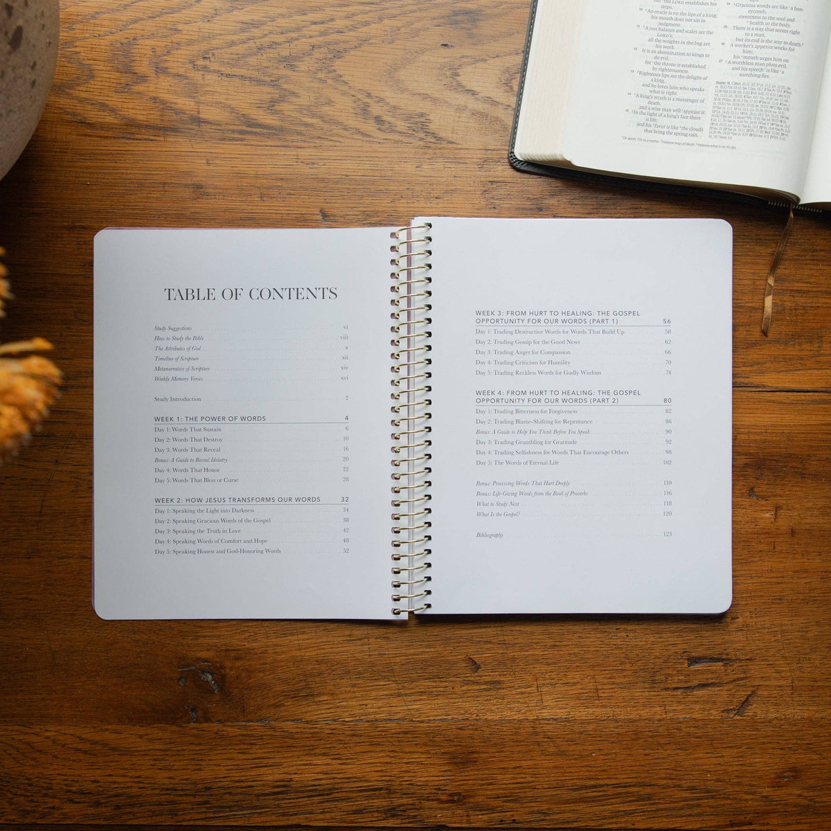 Inside The Daily Grace Co. Sticks and Stones 4-week Christian Bible study showing lessons on the power of words, healing, forgiveness, and biblical speech.