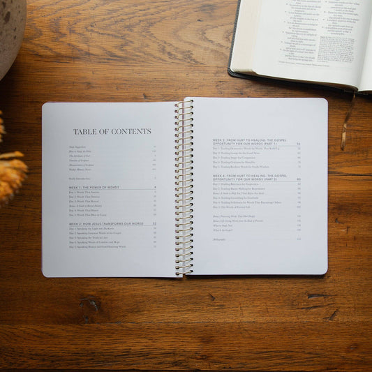 Inside The Daily Grace Co. Sticks and Stones 4-week Christian Bible study showing lessons on the power of words, healing, forgiveness, and biblical speech.
