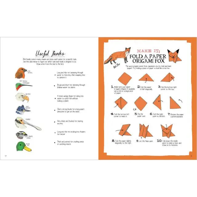 Nature Anatomy Activity Book
