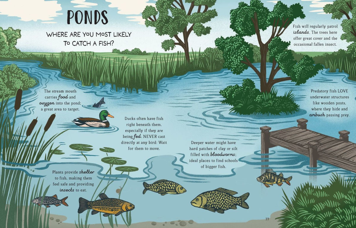 My First Day Fishing: A Beginner's Guide