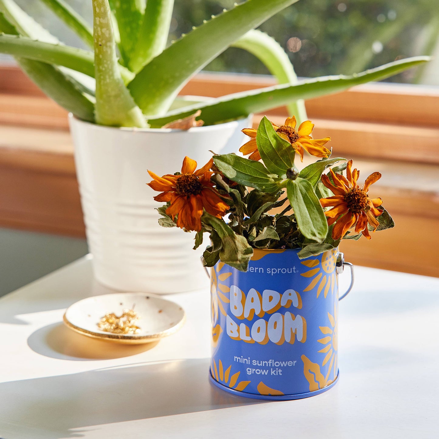 Rooted in Joy Grow Kits
