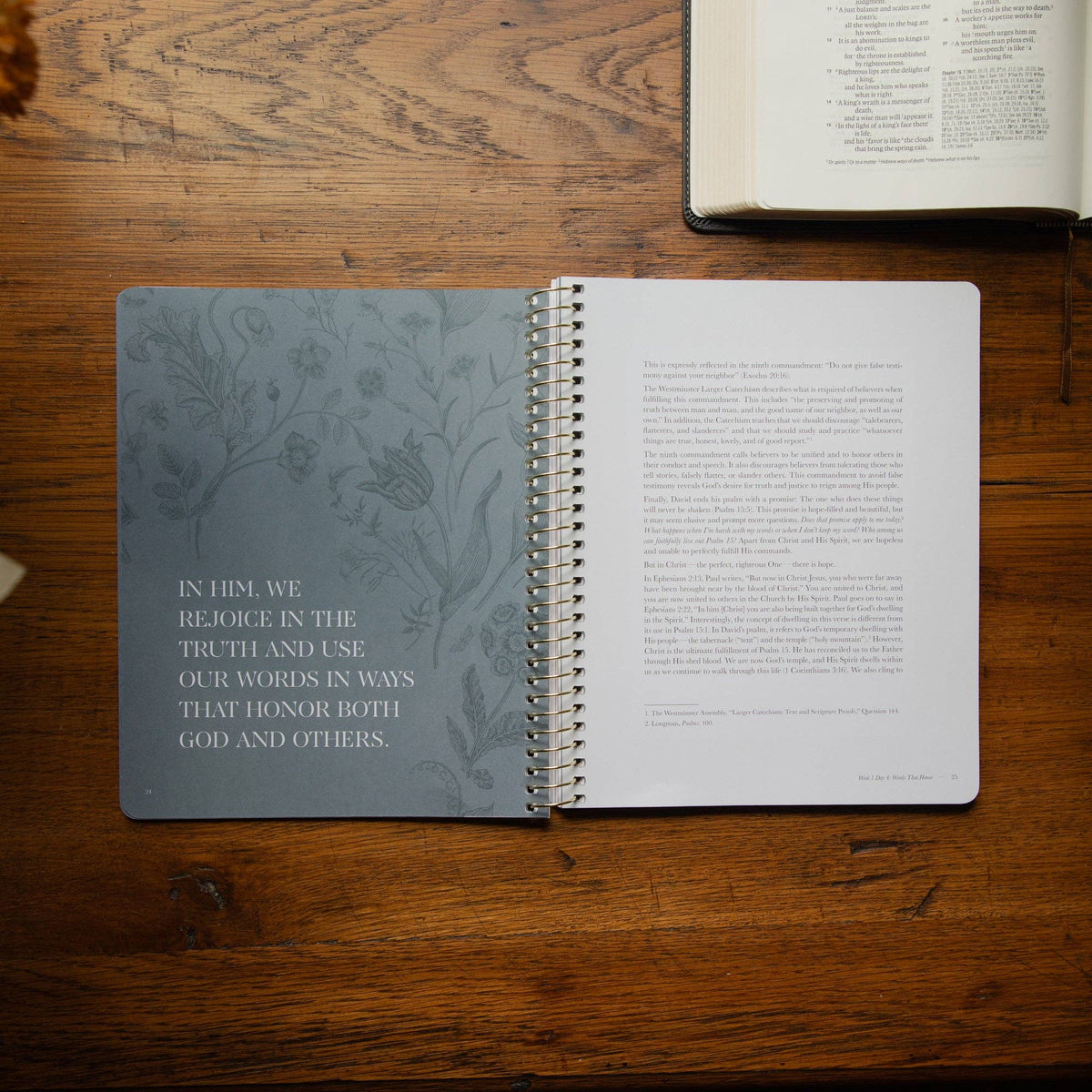 Sticks and Stones Bible Study | Healing from Hurtful Words | The Daily Grace Co.