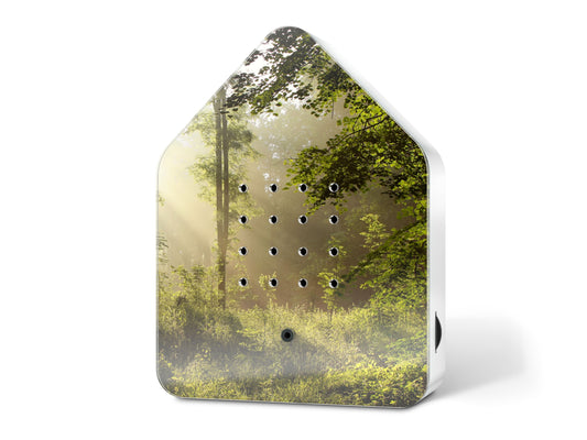 Relaxound Birdybox Sunbeam motion-activated birdsong sound box with sunlit forest design
