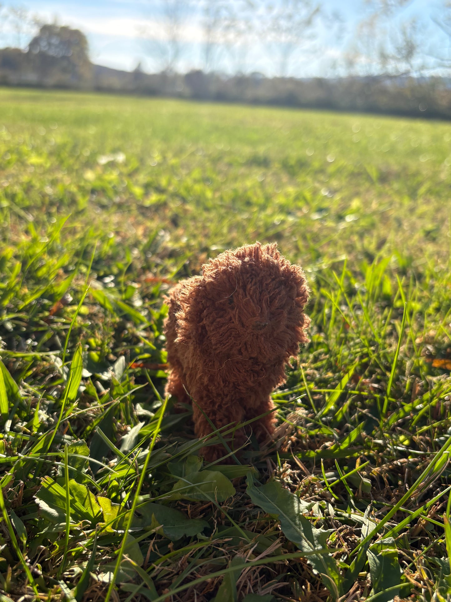 Furry Doodle Ornament