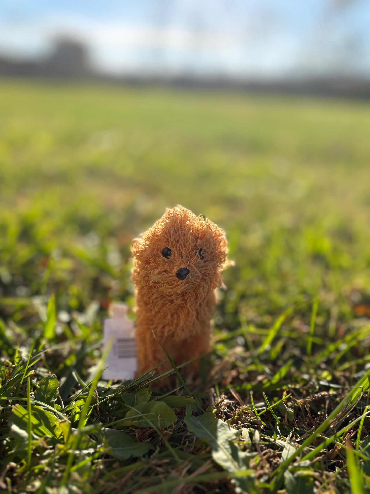 Furry Doodle Ornament