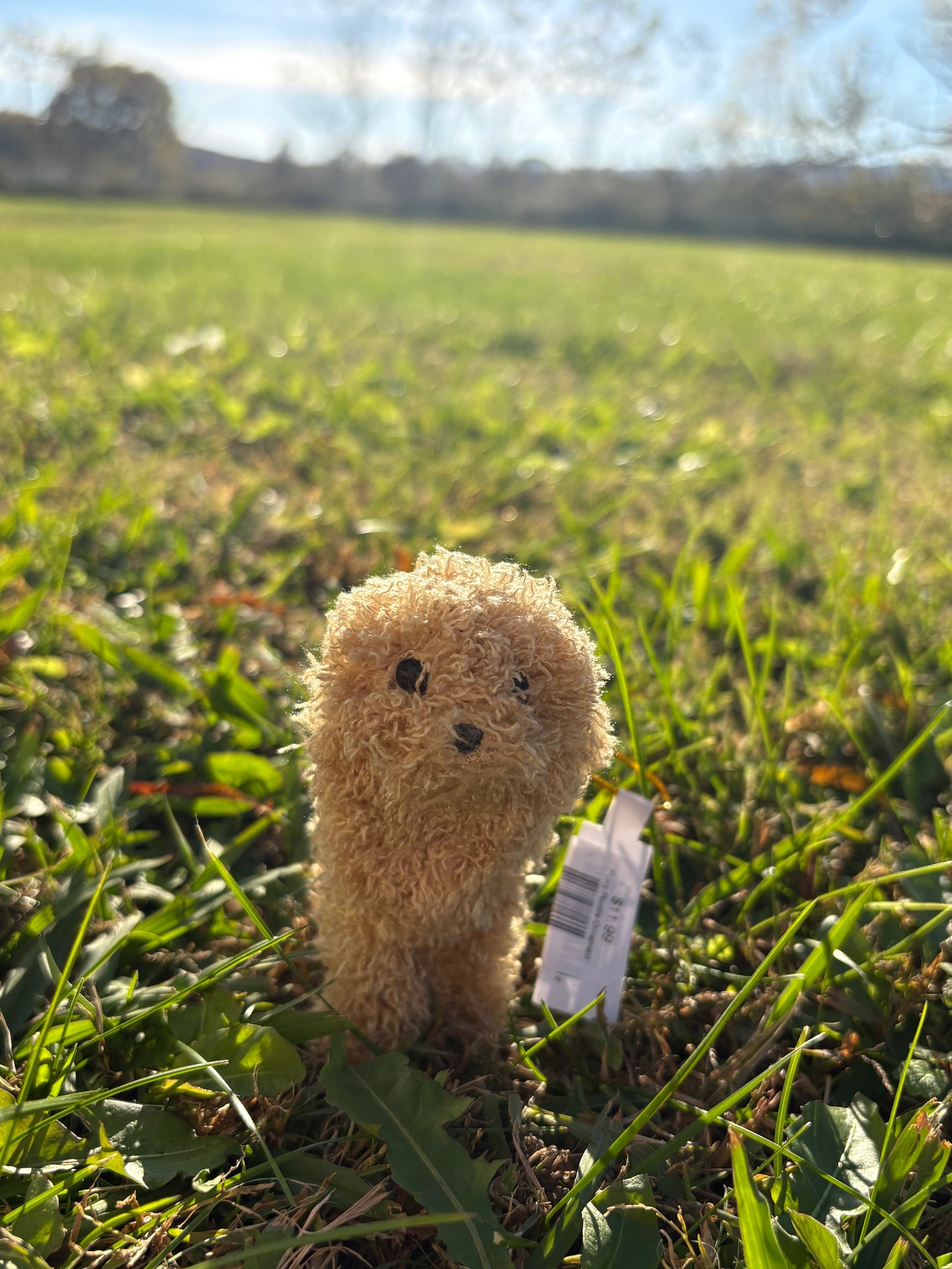 Furry Doodle Ornament