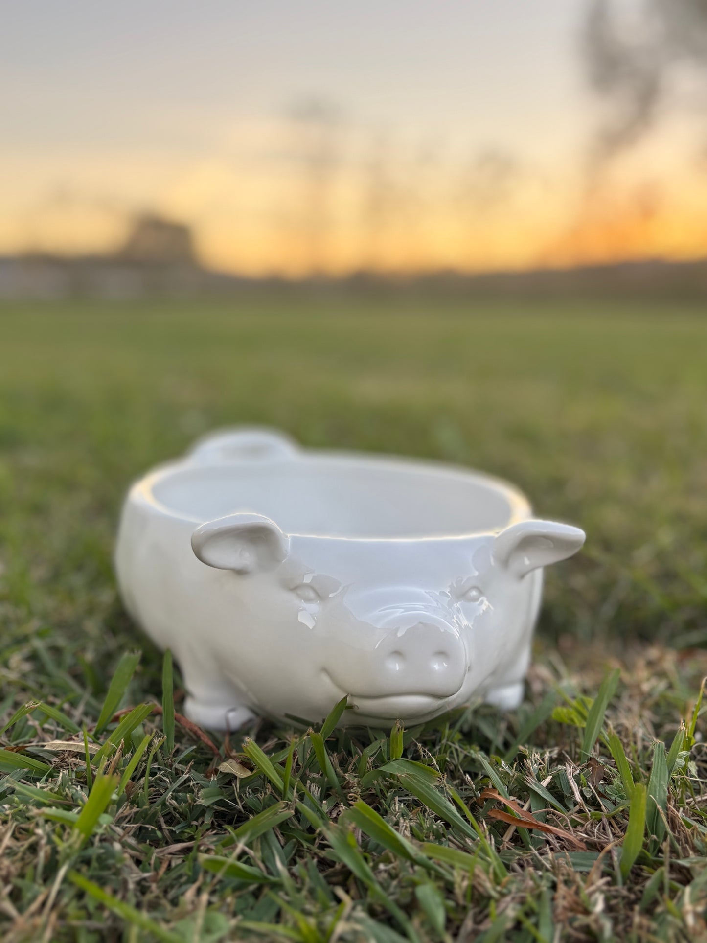 Farmhouse Pig Bowl