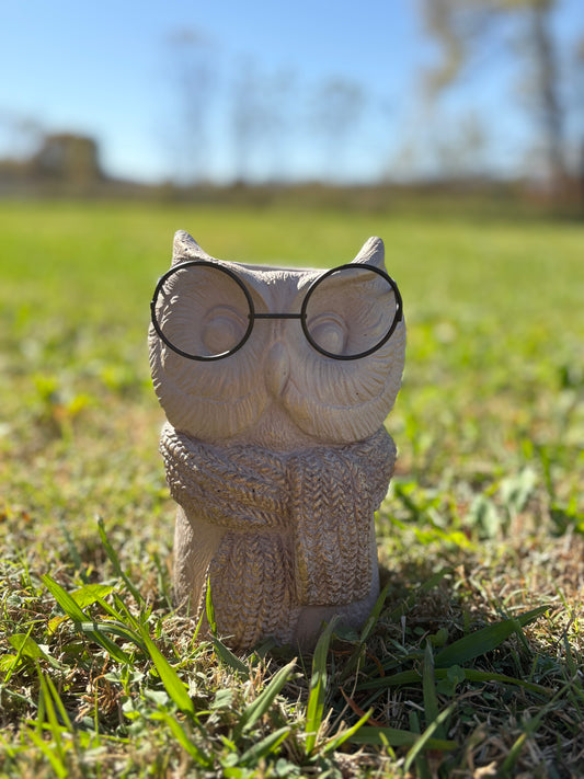 Owl w/ Glasses Cement Vase
