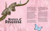 Don't Squish a Slug Book