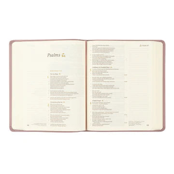 Mauve CSB Notetaking Bible