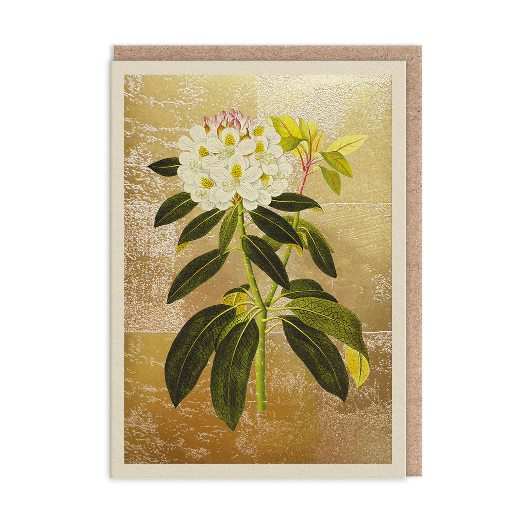 Golden Rhododendron Greeting Card
