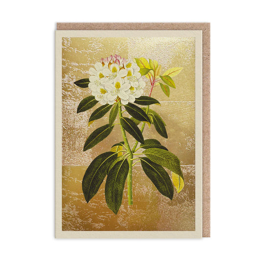 Golden Rhododendron Greeting Card